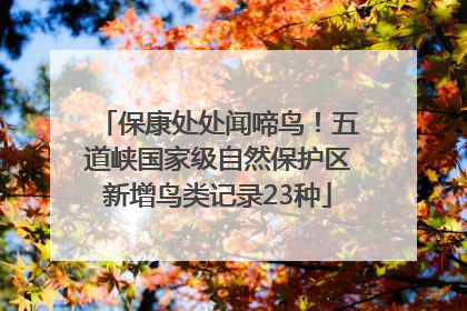 保康处处闻啼鸟！五道峡国家级自然保护区新增鸟类记录23种
