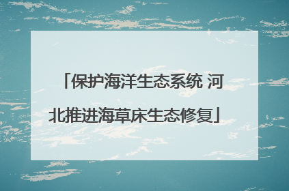 保护海洋生态系统 河北推进海草床生态修复