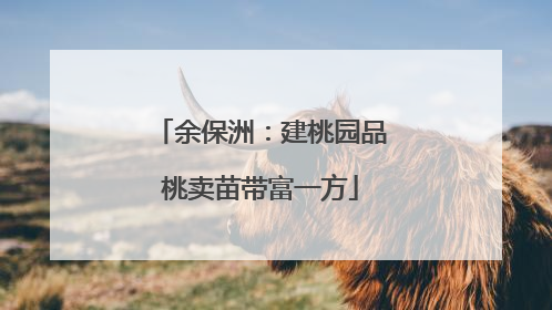 余保洲：建桃园品桃卖苗带富一方