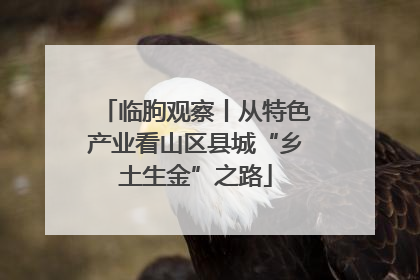 临朐观察丨从特色产业看山区县城“乡土生金”之路