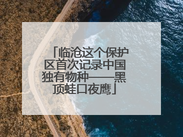 临沧这个保护区首次记录中国独有物种——黑顶蛙口夜鹰