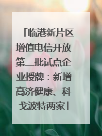 临港新片区增值电信开放第二批试点企业授牌：新增高济健康、科戈波特两家