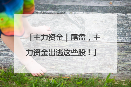 主力资金｜尾盘，主力资金出逃这些股！