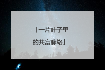 一片叶子里的共富脉络