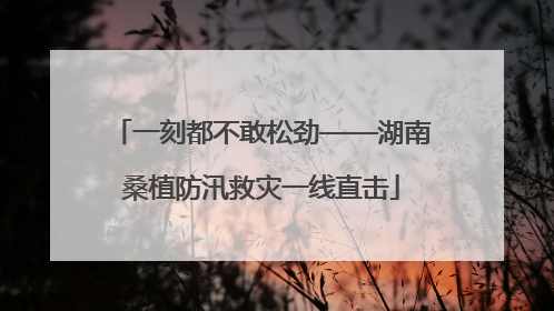 一刻都不敢松劲——湖南桑植防汛救灾一线直击