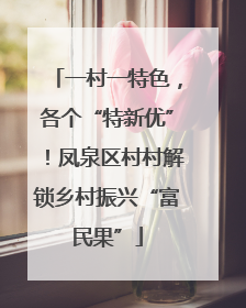 一村一特色，各个“特新优”！凤泉区村村解锁乡村振兴“富民果”