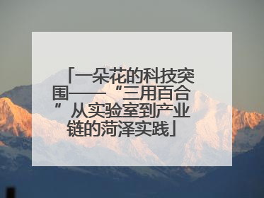 一朵花的科技突围——“三用百合”从实验室到产业链的菏泽实践