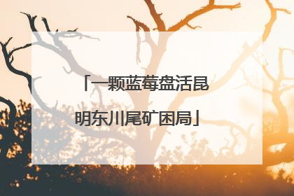 一颗蓝莓盘活昆明东川尾矿困局