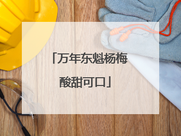 万年东魁杨梅 酸甜可口