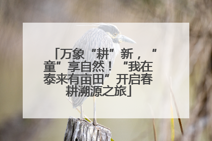 万象“耕”新，“童”享自然！“我在泰来有亩田”开启春耕溯源之旅