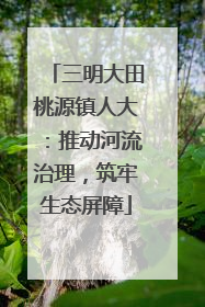 三明大田桃源镇人大：推动河流治理，筑牢生态屏障