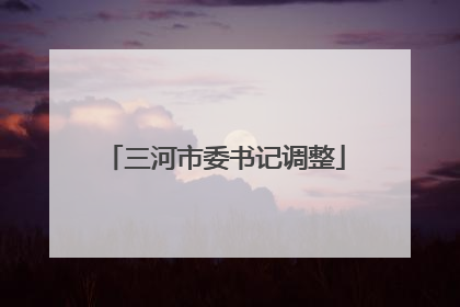 三河市委书记调整