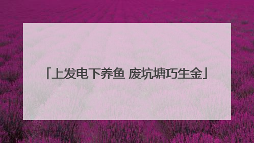 上发电下养鱼 废坑塘巧生金