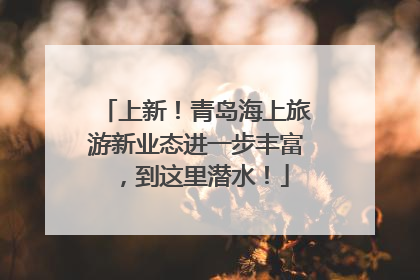 上新！青岛海上旅游新业态进一步丰富，到这里潜水！