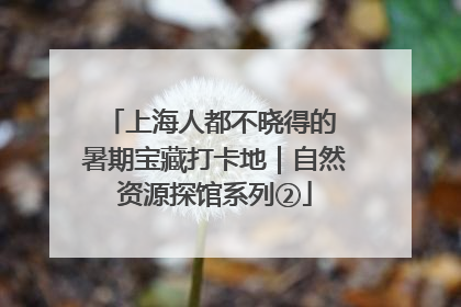 上海人都不晓得的 暑期宝藏打卡地｜自然资源探馆系列②