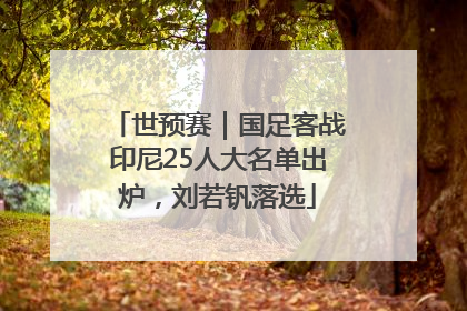 世预赛｜国足客战印尼25人大名单出炉，刘若钒落选