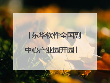 东华软件全国副中心产业园开园