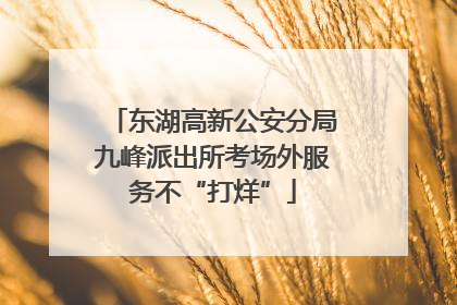 东湖高新公安分局九峰派出所考场外服务不“打烊”