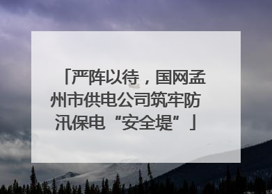 严阵以待，国网孟州市供电公司筑牢防汛保电“安全堤”
