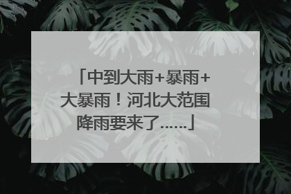 中到大雨+暴雨+大暴雨！河北大范围降雨要来了……