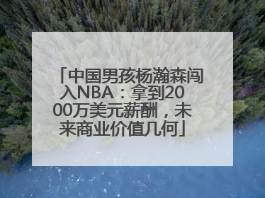 中国男孩杨瀚森闯入NBA：拿到2000万美元薪酬，未来商业价值几何