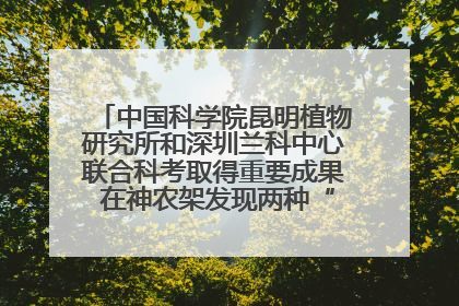 中国科学院昆明植物研究所和深圳兰科中心联合科考取得重要成果 在神农架发现两种“国保”级兰花