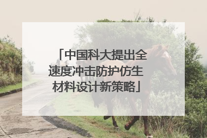 中国科大提出全速度冲击防护仿生材料设计新策略