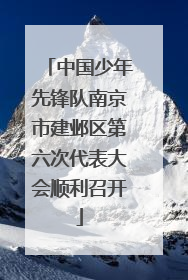 中国少年先锋队南京市建邺区第六次代表大会顺利召开