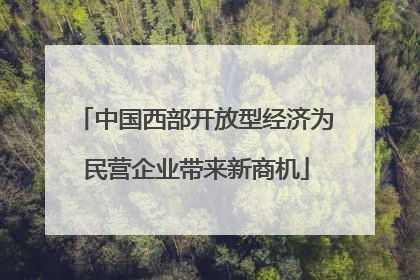 中国西部开放型经济为民营企业带来新商机