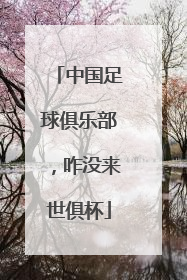 中国足球俱乐部，咋没来世俱杯