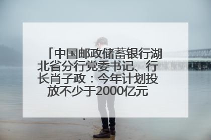 中国邮政储蓄银行湖北省分行党委书记、行长肖子政：今年计划投放不少于2000亿元支持支点建设