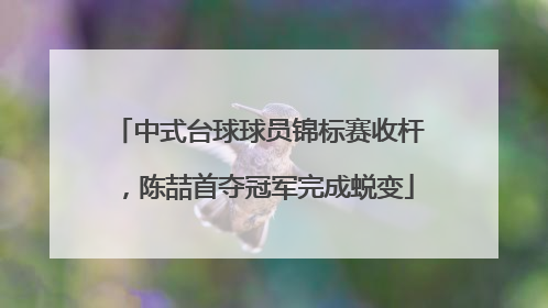 中式台球球员锦标赛收杆，陈喆首夺冠军完成蜕变