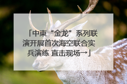 中柬“金龙”系列联演开展首次海空联合实兵演练 直击现场→