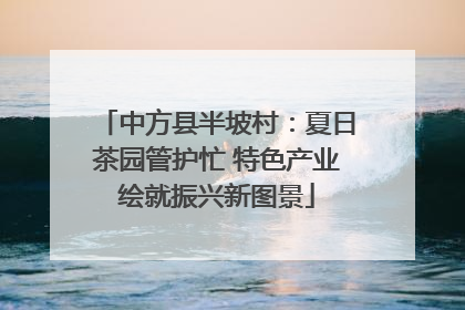中方县半坡村：夏日茶园管护忙 特色产业绘就振兴新图景