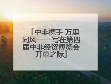 中非携手 万里同风——写在第四届中非经贸博览会开幕之际