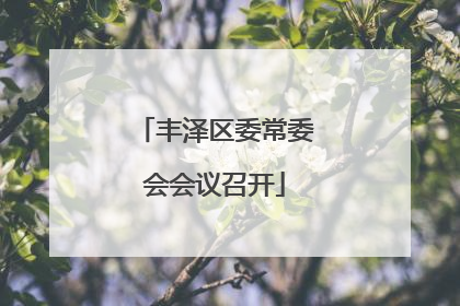 丰泽区委常委会会议召开