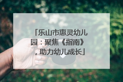 乐山市惠灵幼儿园：聚焦《指南》，助力幼儿成长