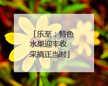 乐至：特色水果迎丰收 采摘正当时