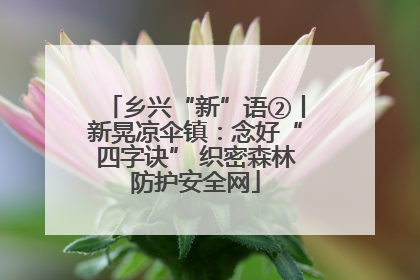 乡兴“新”语②丨新晃凉伞镇：念好“四字诀” 织密森林防护安全网