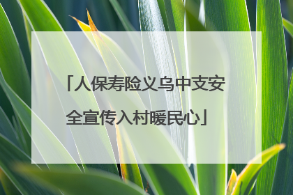 人保寿险义乌中支安全宣传入村暖民心