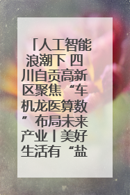 人工智能浪潮下 四川自贡高新区聚焦“车机龙医算数”布局未来产业丨美好生活有“盐”味