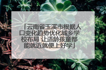 云南省玉溪市根据人口变化趋势优化城乡学校布局 让适龄孩童都能就近就便上好学