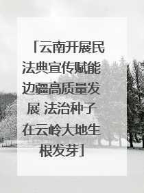 云南开展民法典宣传赋能边疆高质量发展 法治种子在云岭大地生根发芽