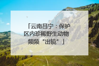 云南昌宁：保护区内珍稀野生动物频频“出镜”