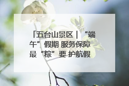 五台山景区｜“端午”假期 服务保障最“粽”要 护航假期“不打烊”