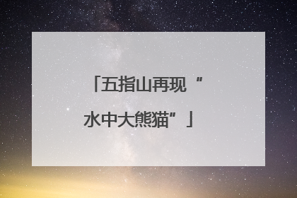 五指山再现“水中大熊猫”