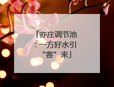 亦庄调节池：一方好水引“客”来