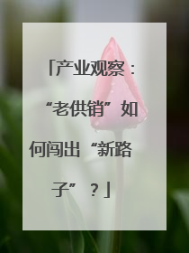 产业观察：“老供销”如何闯出“新路子”？