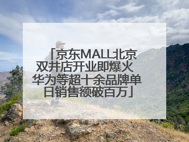 京东MALL北京双井店开业即爆火 华为等超十余品牌单日销售额破百万