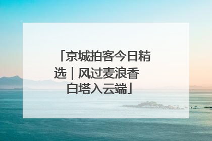 京城拍客今日精选｜风过麦浪香 白塔入云端